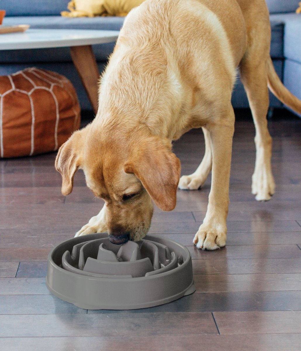 Outward Hound Slow Feeder Dog Bowl, 2 Sizes