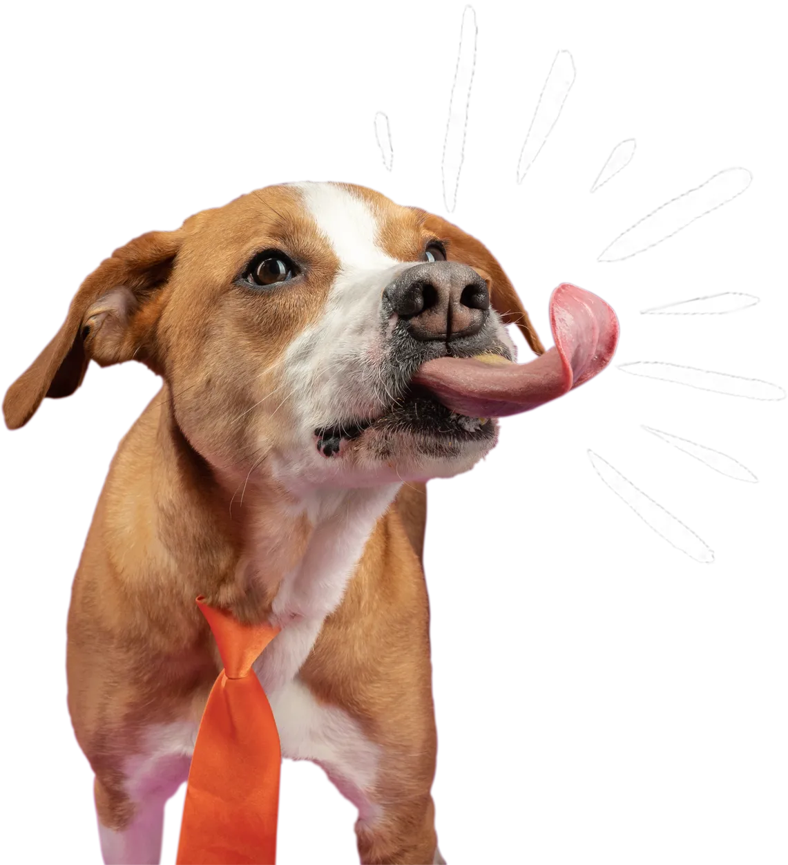 Poochie Butter Treats