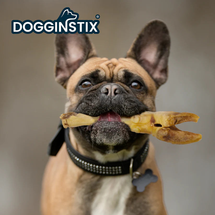 DogginStix Lamb Foot