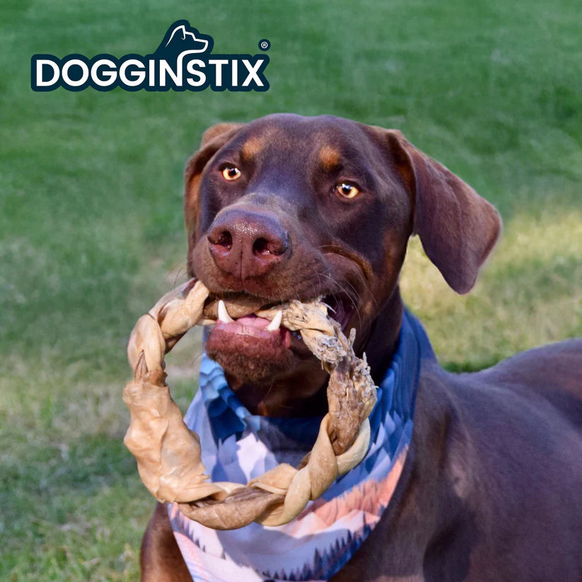 DogginStix Lamb Collagen Braided Ring