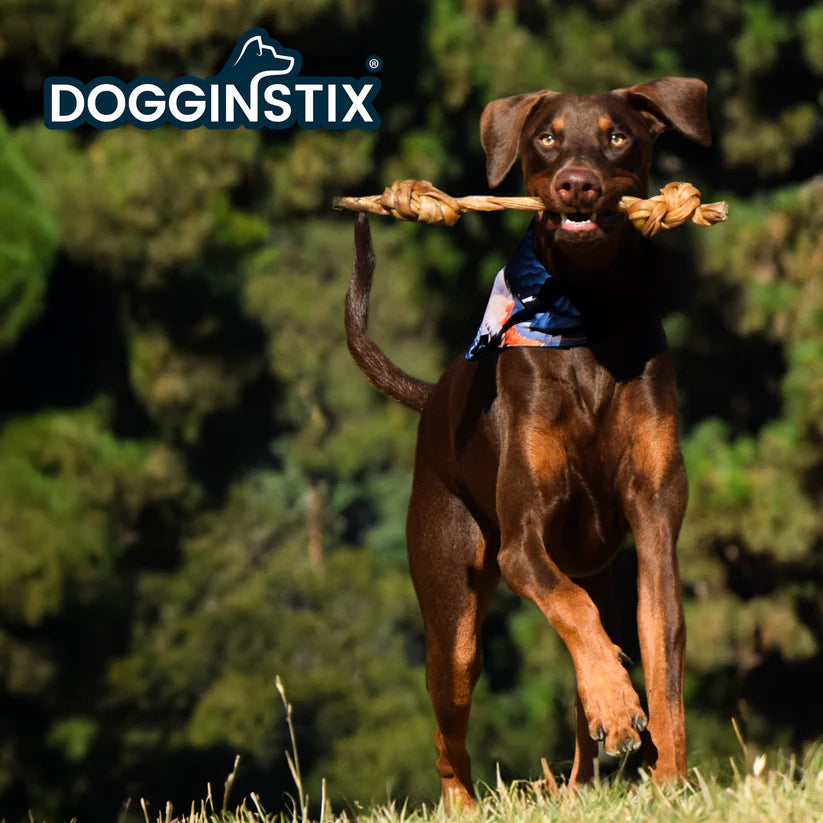 DogginStix Lamb Collagen Double Knot