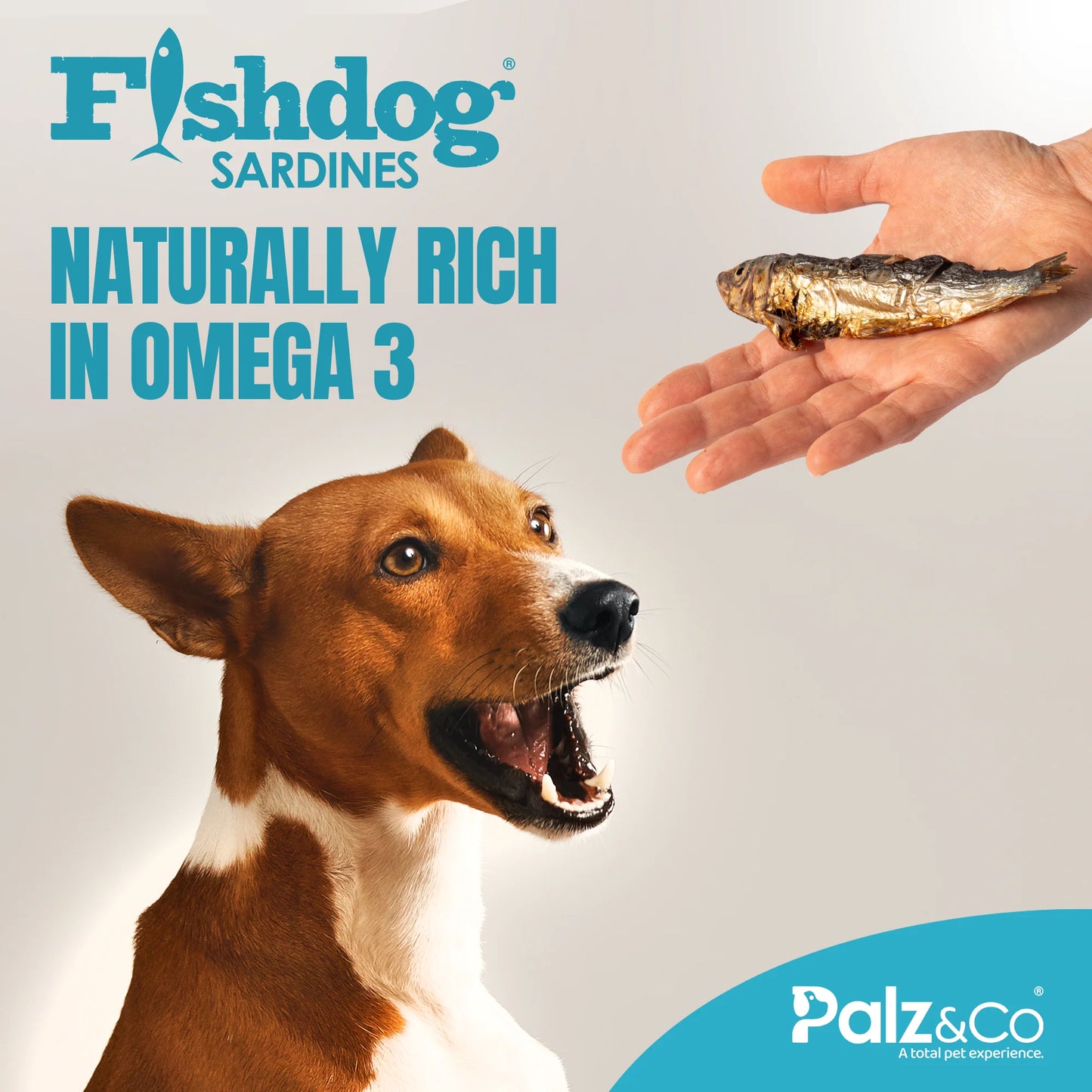 Palz & Co Fishdog Sardines - 2.5 oz