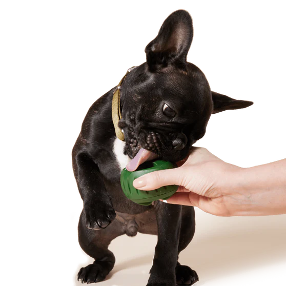 Woof Pupsicle Treat Tray