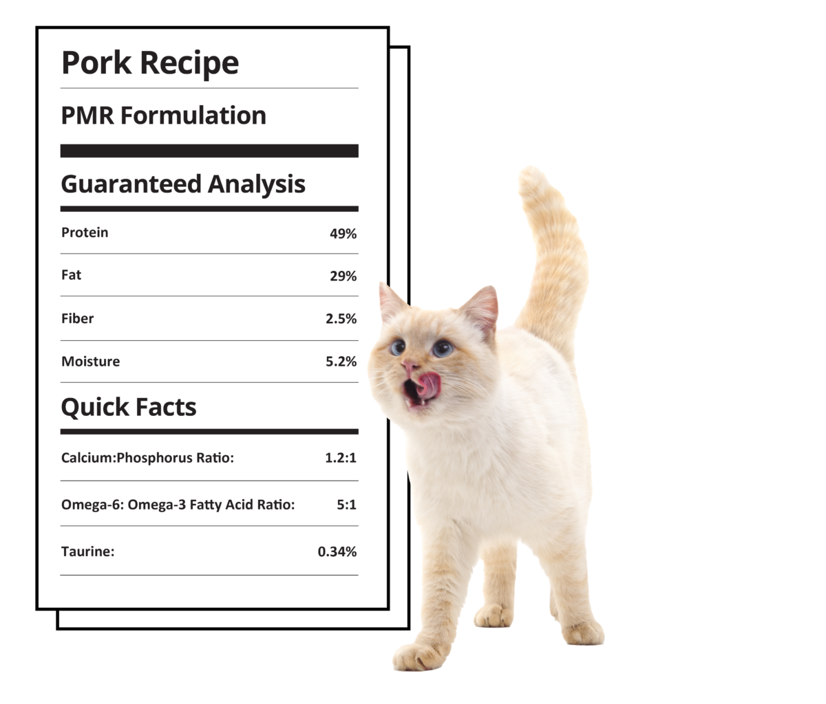 Steve's Quest Freeze Dried Raw Pork Cat Food 10oz