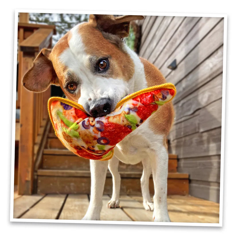 Doggijuana Pizza Tuffer Chewer Toy