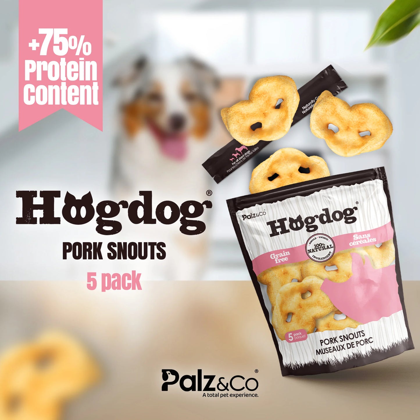 Palz & Co HogDog Pork Snouts 5 Pack
