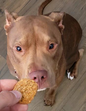 Poochie Butter Treats