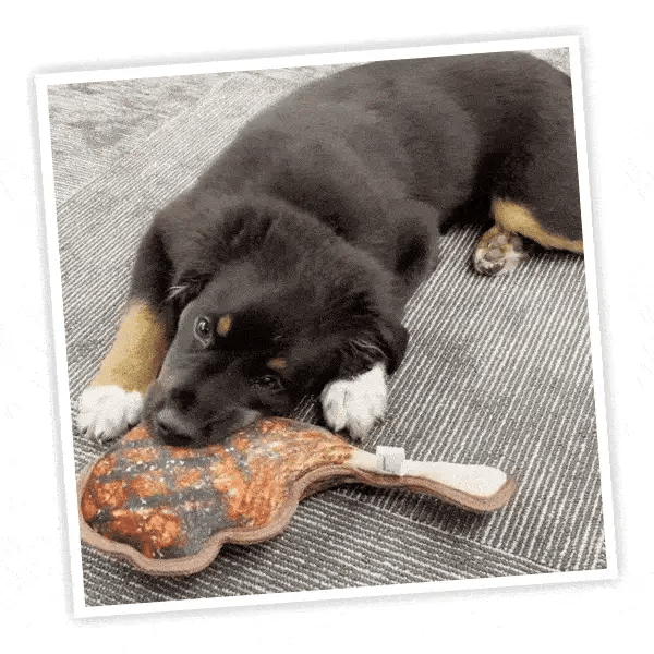 Doggijuana Tomahawk Steak Chewer Toy