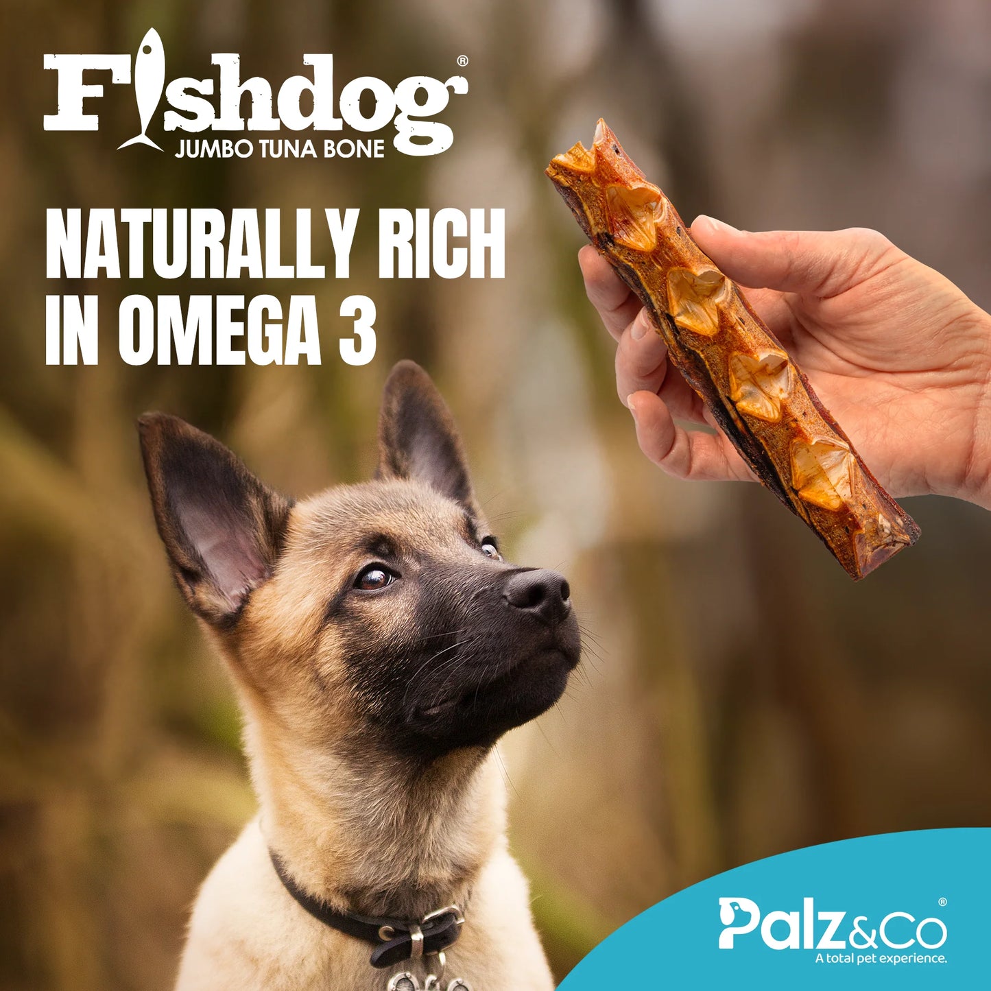 Palz & Co Fishdog Jumbo Tuna Bone - 3.5 oz (100g)