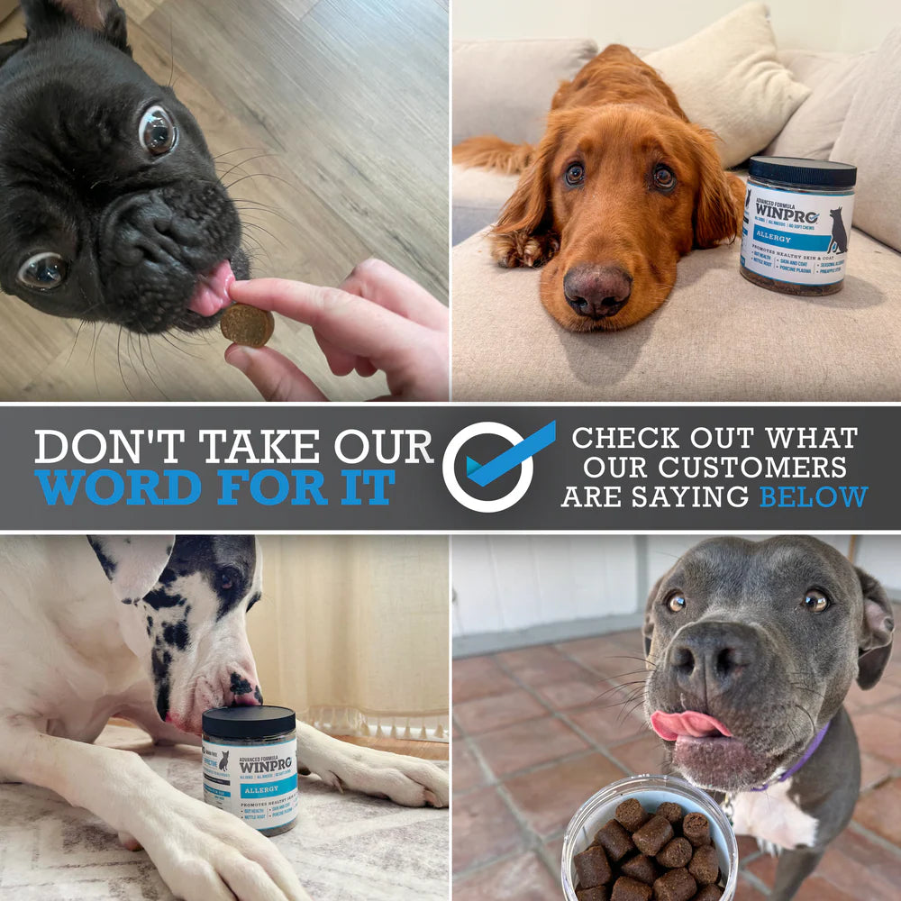 Winpro Pet Natural Allergy Support