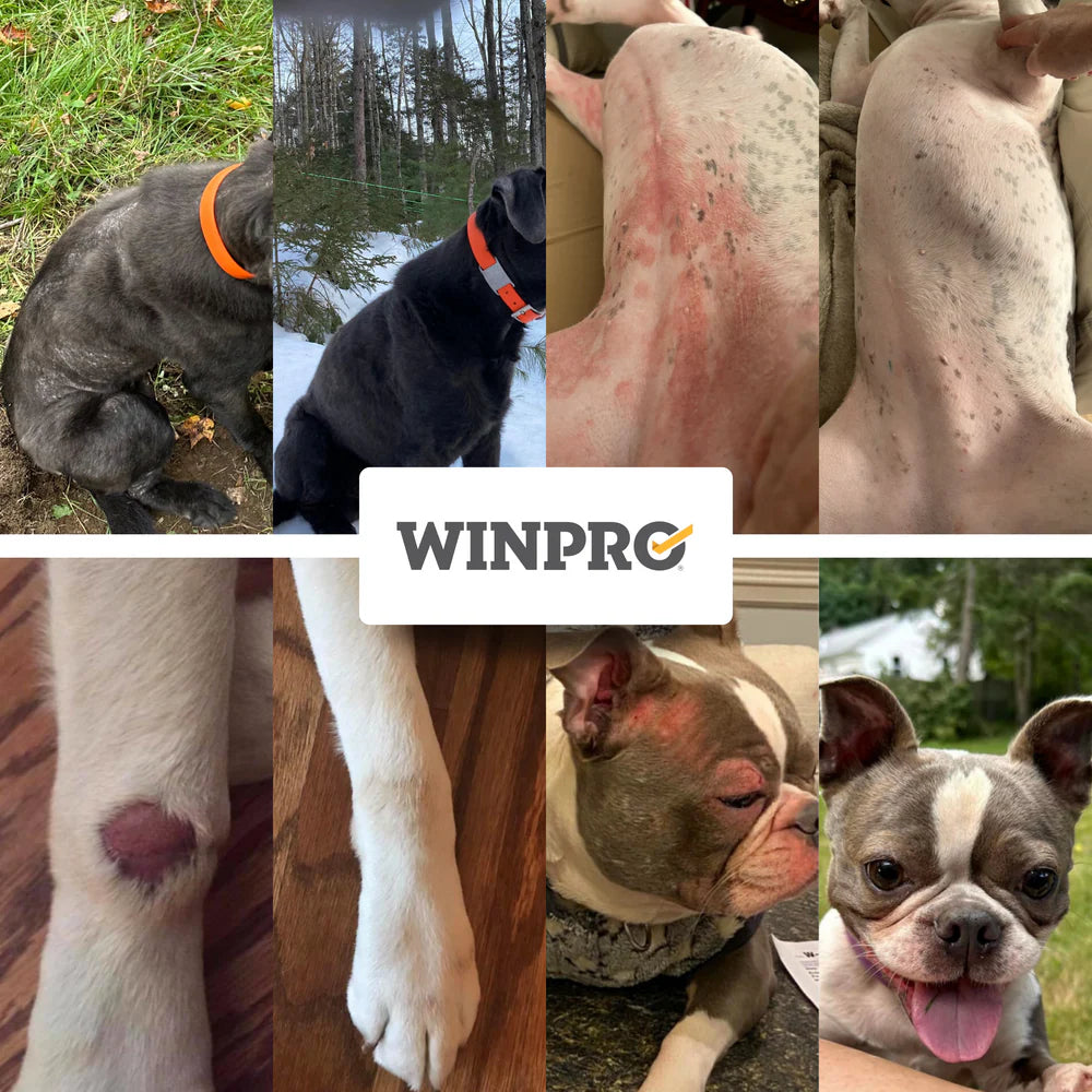 Winpro Pet Natural Allergy Support