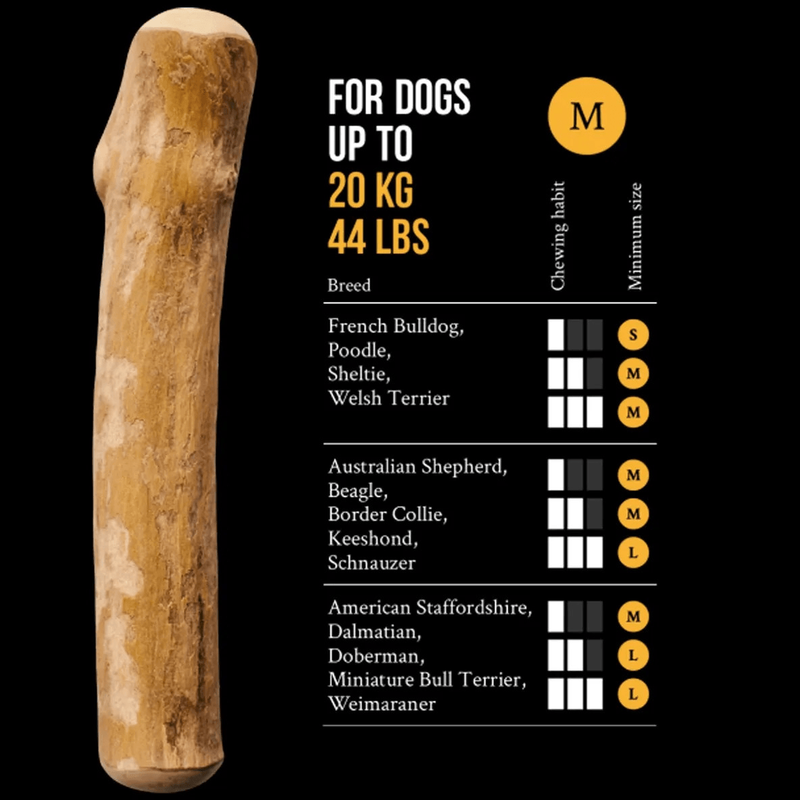 Natural chew sticks for dogs hotsell