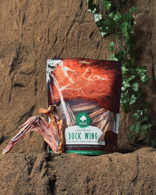 Furever Fierce Dehydrated Duck Wing - 3 Count Bag