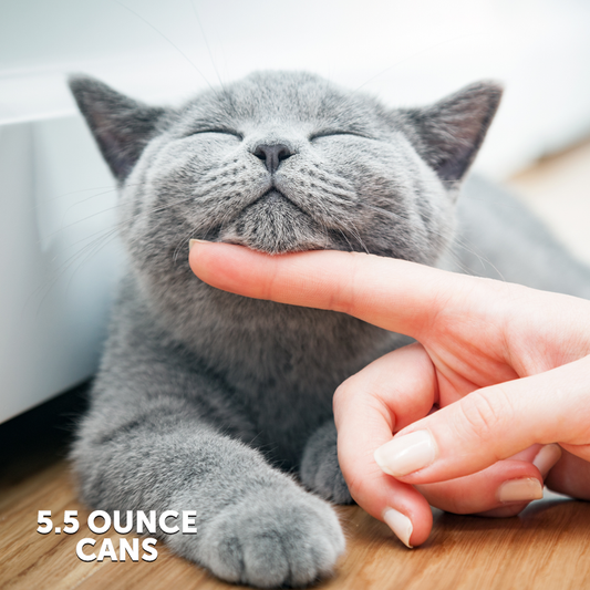 Best Breed Cat Recipes 5.5oz Can - 4 Recipes