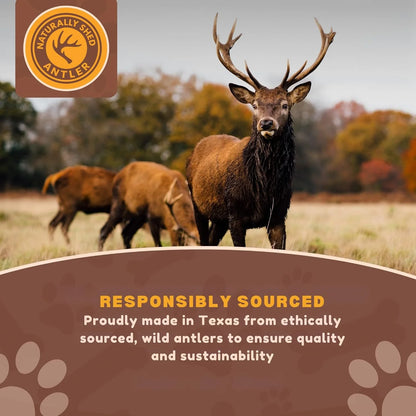 White Tail Naturals Whole Elk Antler Dog Chew - L & XL