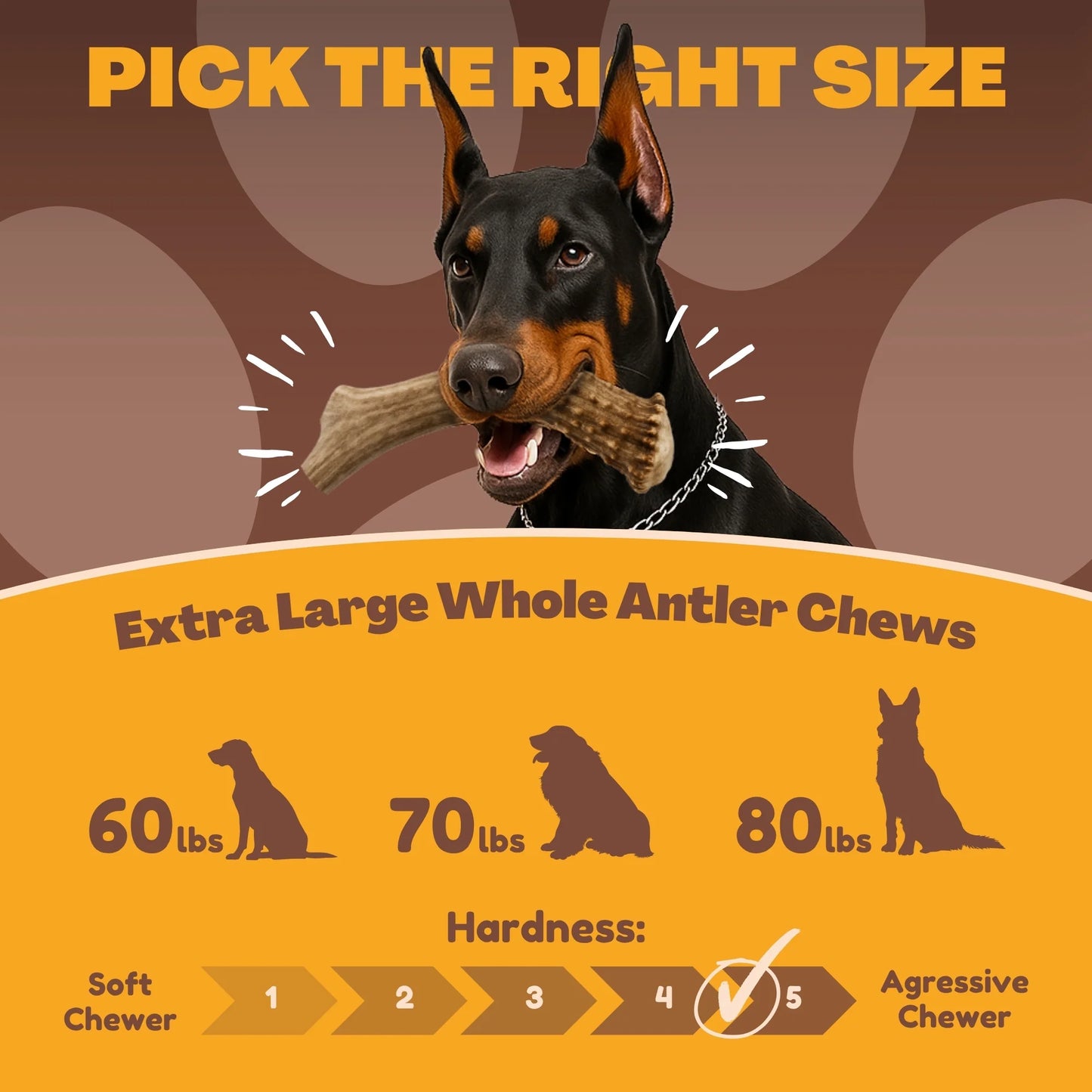 White Tail Naturals Whole Elk Antler Dog Chew - L & XL