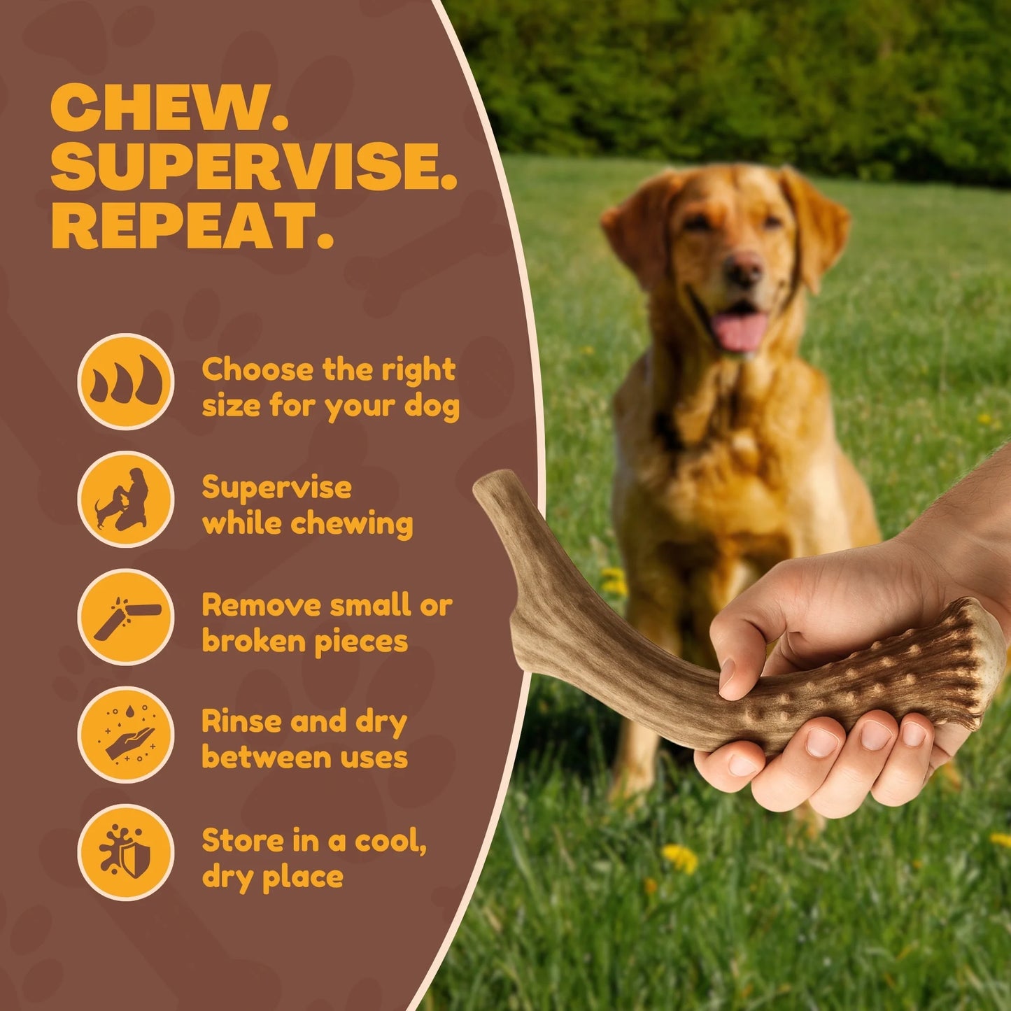 White Tail Naturals Whole Elk Antler Dog Chew - L & XL