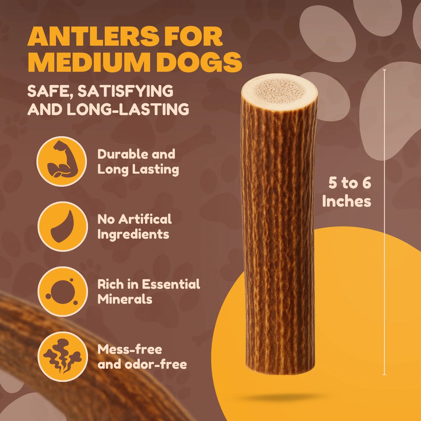 White Tail Naturals Whole Elk Antler Dog Chew - L & XL