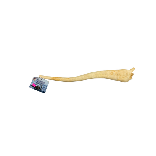 QT Dog Water Buffalo Whole Tail 15-18"