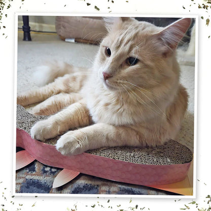 Meowijuana Rainbow Trout Cat Scratcher Toy