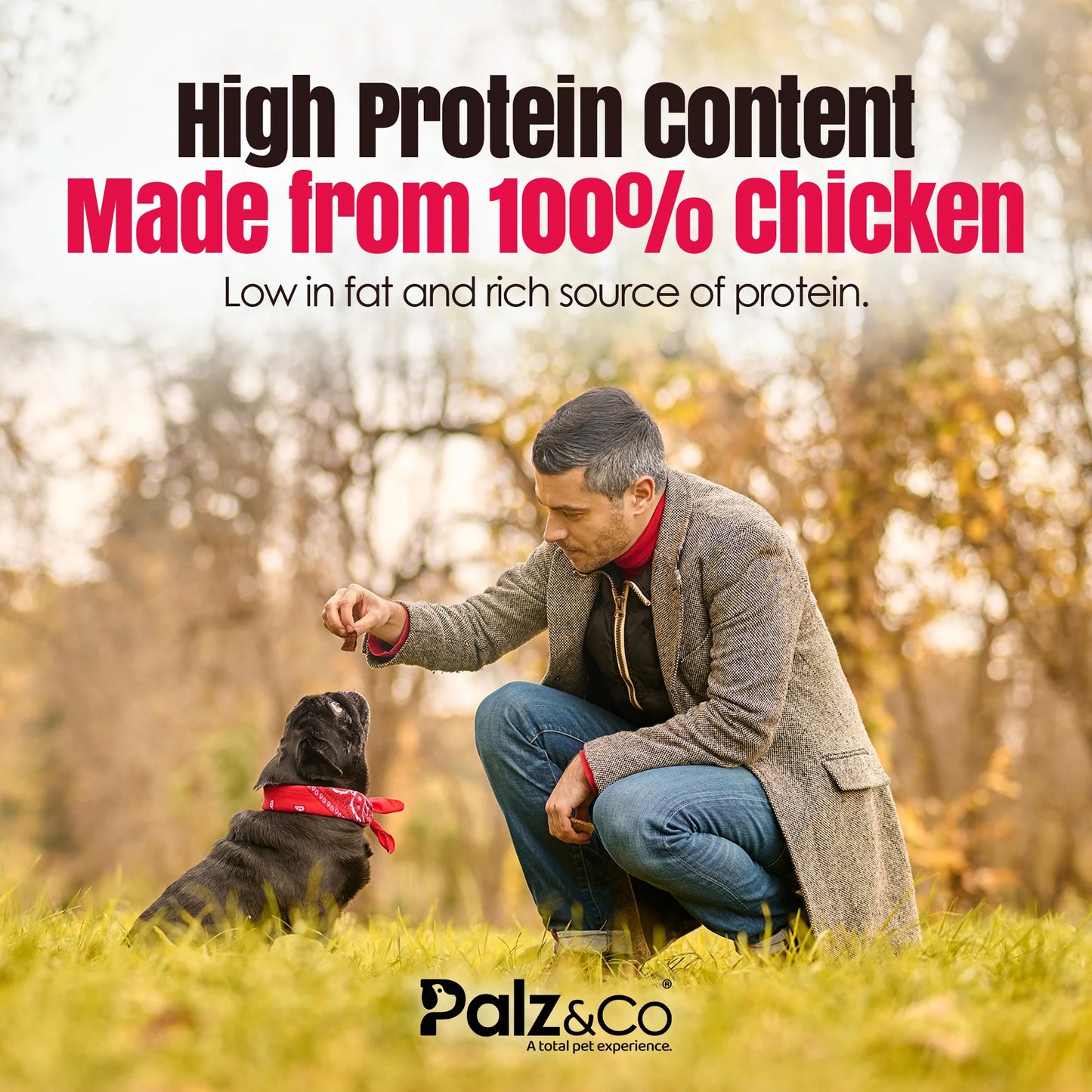 Palz & Co BirdDog Chicken Bites 6oz
