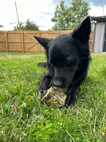 icelandic+ Plus Large Cod Skin 2" Cube Dog Treat