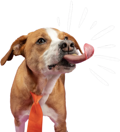 Poochie Butter Treats