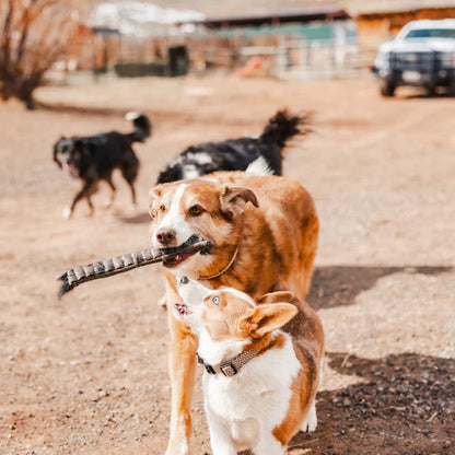 Ugly Chew Hair-On Hide Roll - 12"
