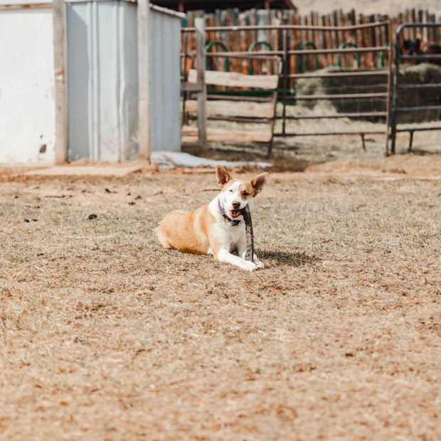 Ugly Chew Hair-On Hide Roll - 12"