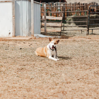 Ugly Chew Hair-On Hide Roll - 12"
