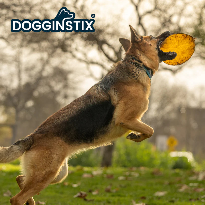 DogginStix UFO Beef Collagen Disc