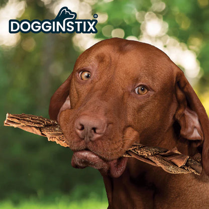 DogginStix 12" Braided Beef Tripe