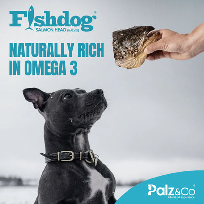 Palz & Co Fishdog Salmon Head (halves) - 4.5 oz