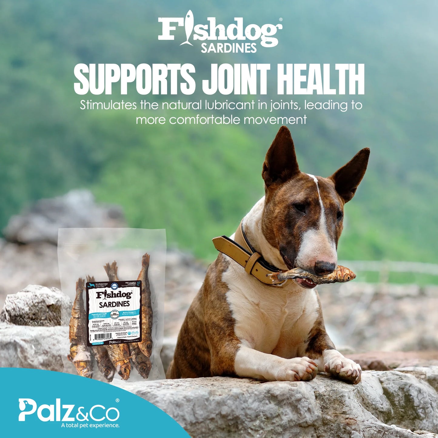 Palz & Co Fishdog Sardines - 2.5 oz