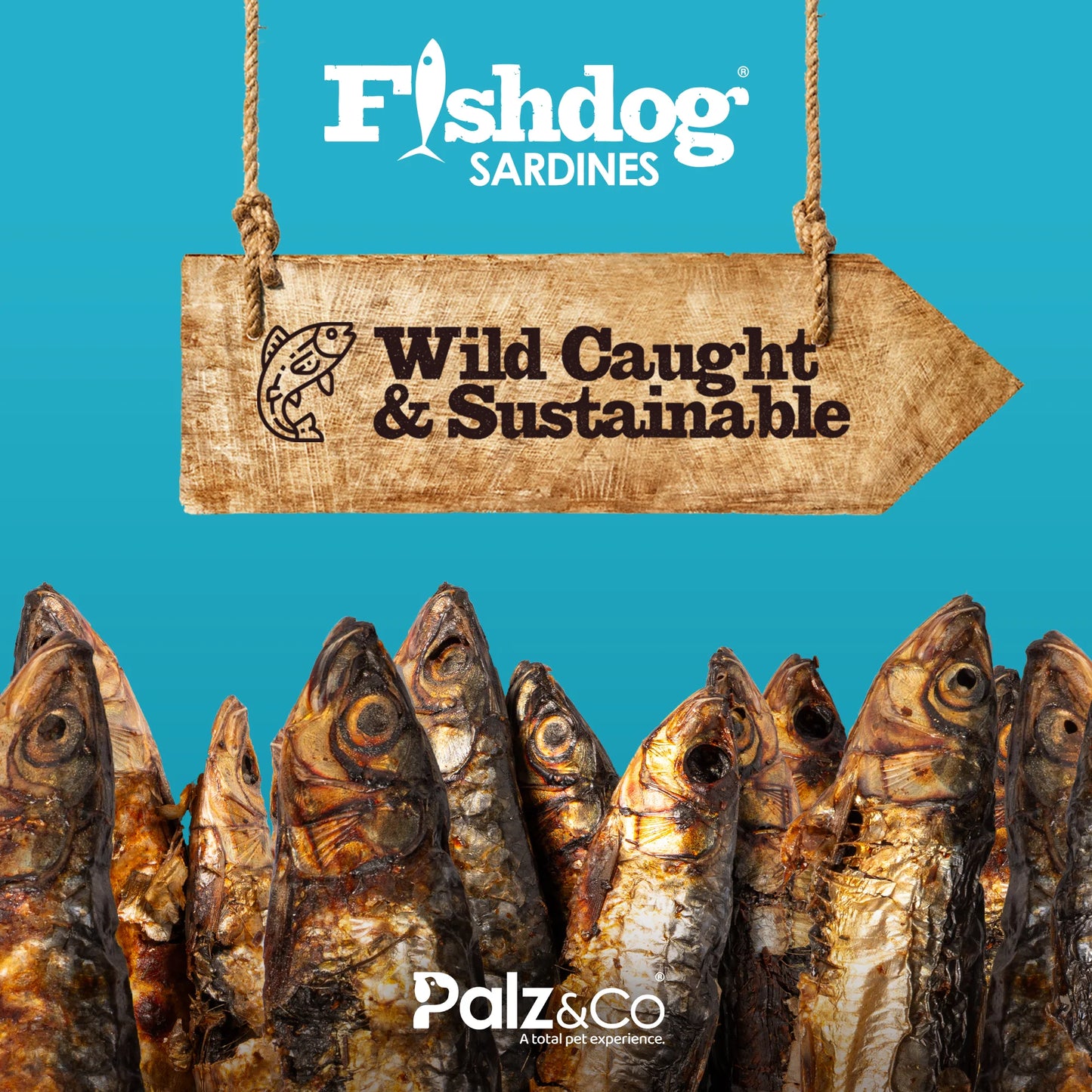 Palz & Co Fishdog Sardines - 2.5 oz