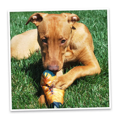 Doggijuana Hiking Boot Toy