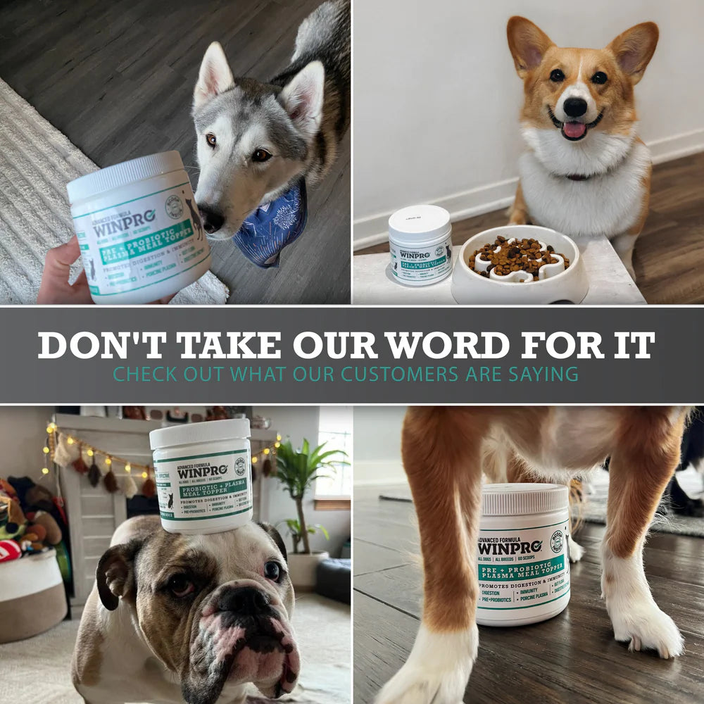 Winpro Pet Probiotic + Plasma Meal Topper