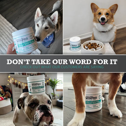 Winpro Pet Probiotic + Plasma Meal Topper