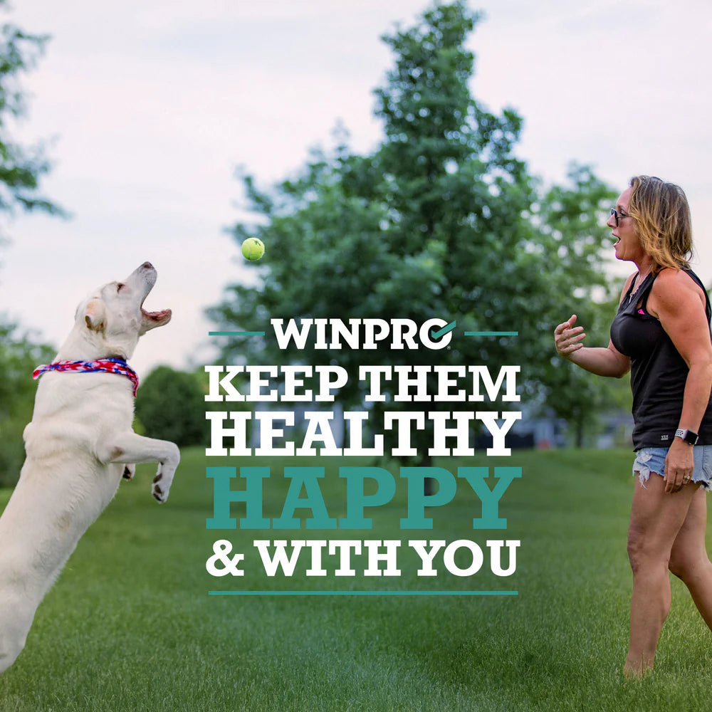 Winpro Pet Probiotic + Plasma Meal Topper