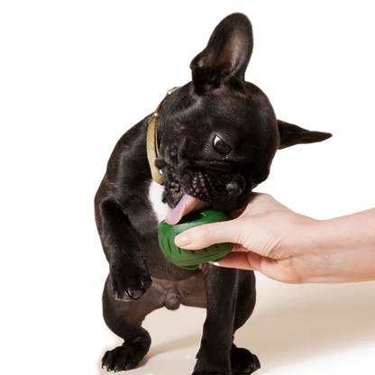 Woof Pupsicle Treat Tray