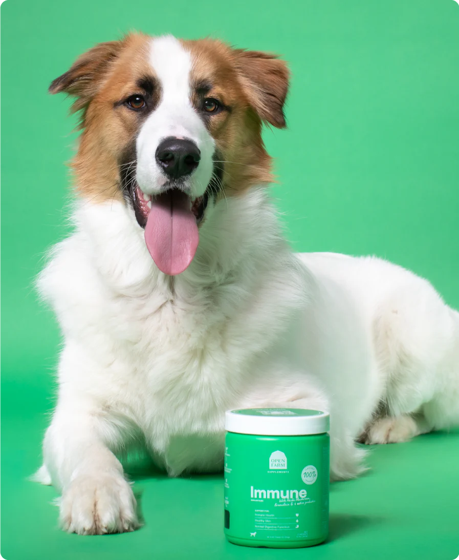 Open Farm Immune Supplements 90ct