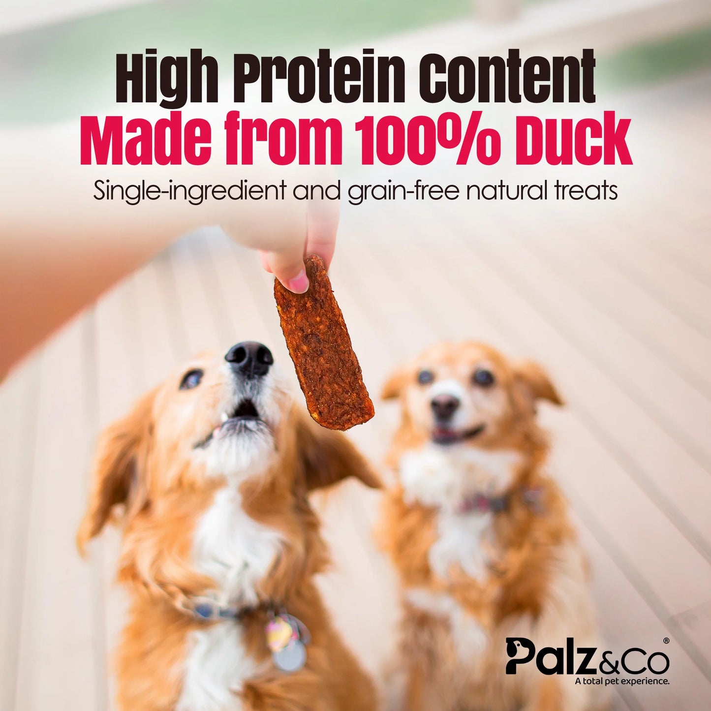 Palz & Co BirdDog Duck Jerky 10 Pack