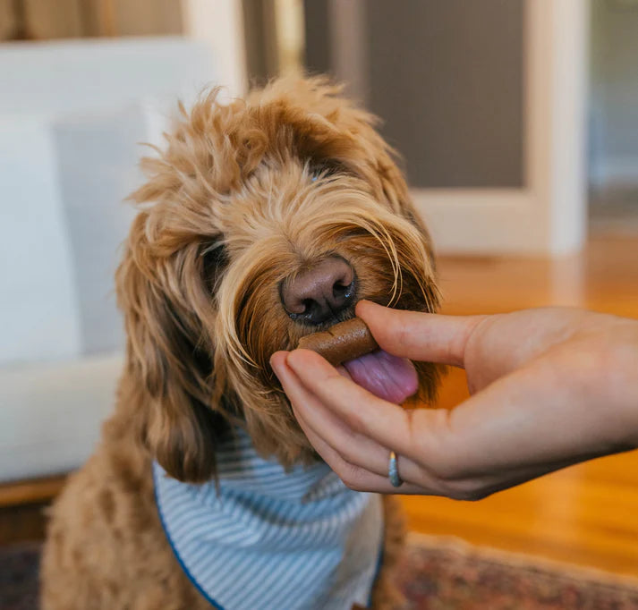 Earthly Pet Pill Buddy Naturals