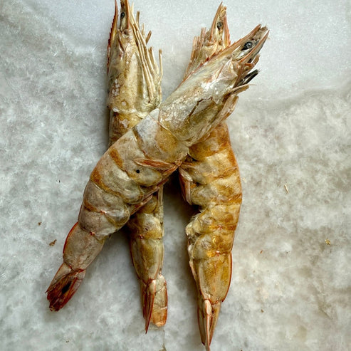 Golden Nibbles Freeze-Dried Large Prawns/Shrimp
