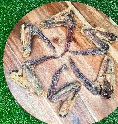Furever Fierce Dehydrated Duck Wing - Single