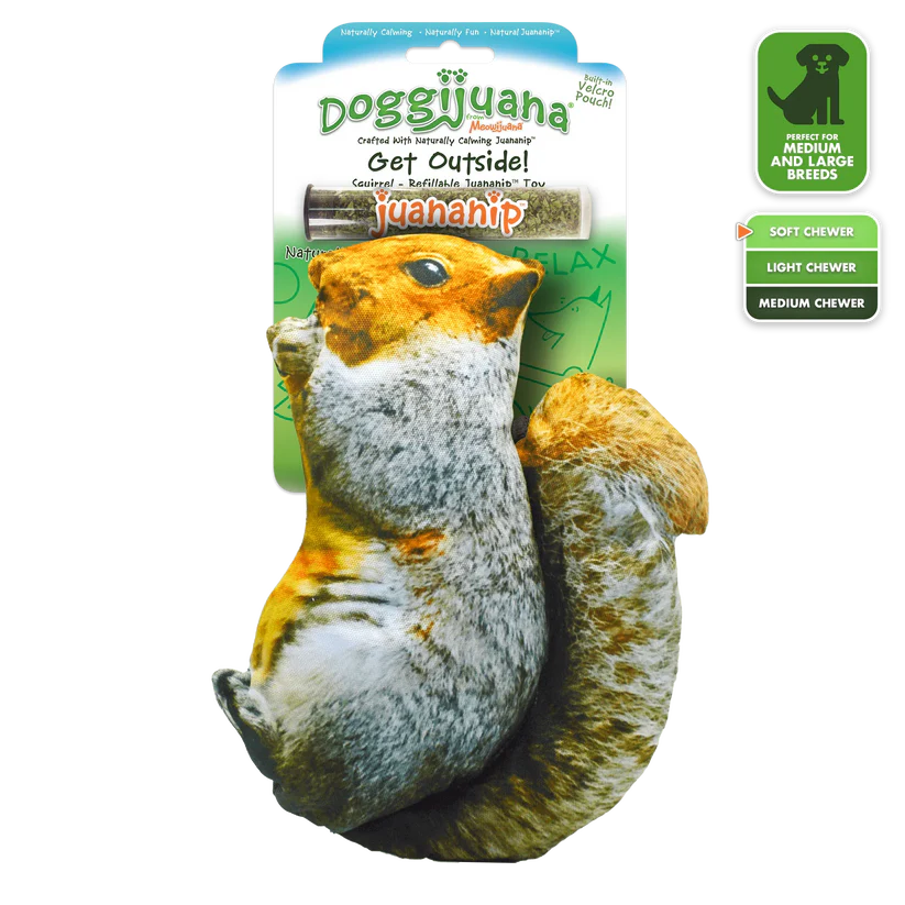 Doggijuana Squirrel Toy