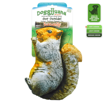 Doggijuana Squirrel Toy