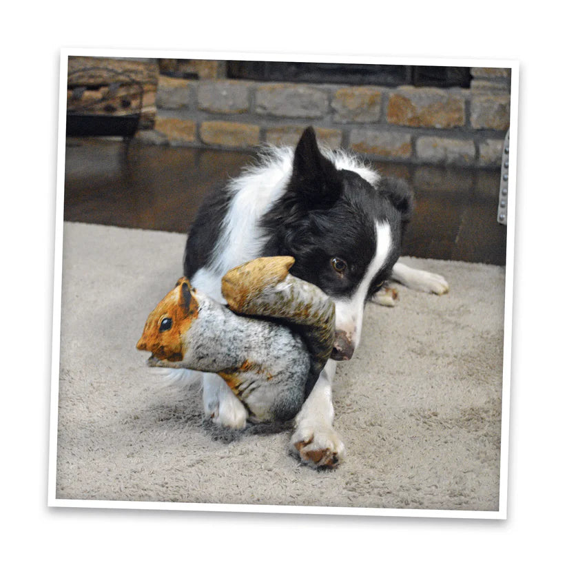 Doggijuana Squirrel Toy