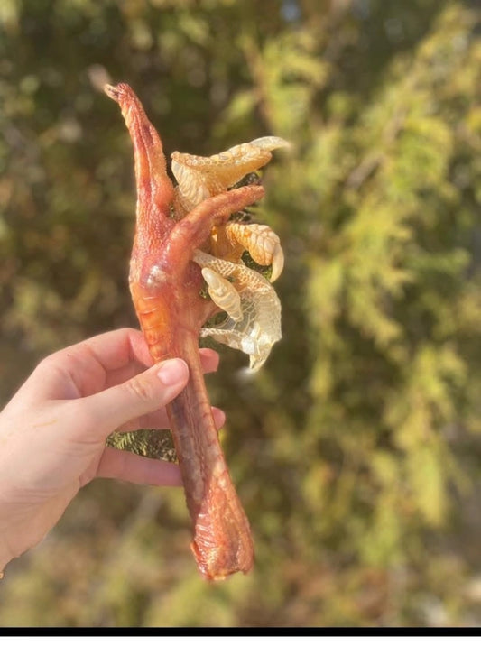 What The Ray Turkey Foot - Medium or Large