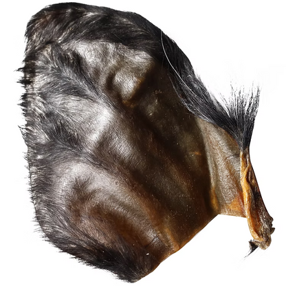 QT Dog Water Buffalo Ear with Hair